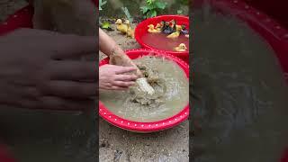 What's in the mud? 🩴 Oddly satisfying asmr #trending #short #103