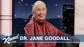 Dr. Jane Goodall on Living with Chimps, Their Language & the Possibility of Bigfoot