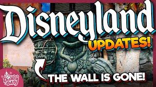 Disneyland Construction Updates & Ride Closures JUNE 2025