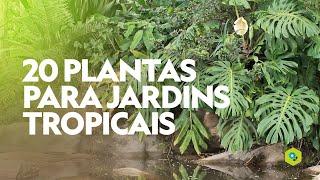 20 PLANTAS para JARDINS TROPICAIS