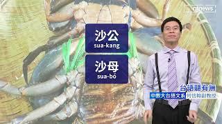 《「螃蟹」án怎講》@@鏡電視「台語聽有無？」by何信翰教授