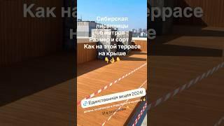 Сибирская лиственница! Есть 6 метровая экстра  #пиломатериалы #акции #лиственница #терраса