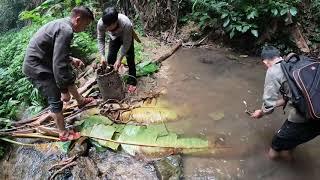 #188. Cuộc Sống Mưu Sinh, Phiêu Lưu Trong Rừng, Cuộc Sống Tự Nhiên