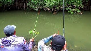 Ampun dah kalau spot muara,Ikan nya rakus sekali