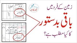 Baqi Badastoor meaning in FARD of land - Register Haqdaran Zameen