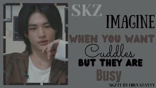 SKZ IMAGINE: when you want cuddles but they are busy... (skz ff) 