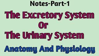 Notes-The Excretory System Or Urinary System, Part-1,Anatomy and Physiology,B.sc,Gnm