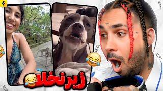 Funny Animals  خنده دارترین دوبله های حیوانات