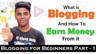 What is Blogging and How to earn Money from Blogging Explained in Hindi! [Part 1]