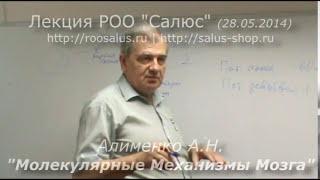 Молекулярные механизмы мозга (А.Н. Алименко)