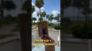 Что вас ждёт в ближайшем будущем? | Алхимия | Таро расклад