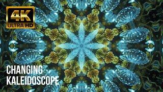 Kaleidoscope Bioluminescence Forest | Mandala Meditation | Visual Relaxation With Music