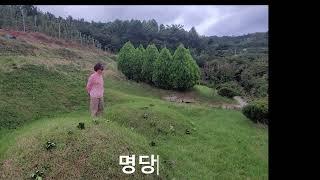 부자 명당 산소