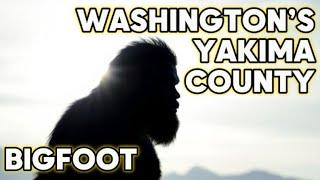 Yakima County Sasquatch Encounters | Structures, Audio & Prints | New Bigfoot Video 2025