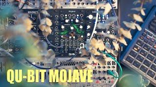 A Great Eurorack Granular Processor: Qu-Bit Mojave