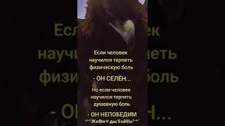НУР 777