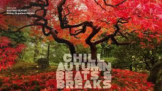 CHILL AUTUMN VIBES BEATS & BREAKS | Top Relaxation Grooves!