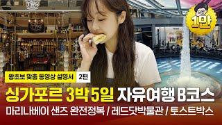 [싱가포르 자유여행 2편(B코스/2023)]싱가포르 필수코스 도장깨기 : 마리나베이샌즈,카야토스트,전망대 |싱가포르여행,싱가포르자유여행,싱가포르여행지,싱가포르맛집 (광고포함)