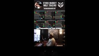 StockMarketWolf live trading for Options and Futures Trading