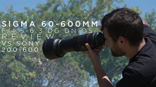 Sigma 60-600mm f/4.5-6.3 Review vs Sony 200-600mm