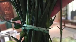 Flower Arranging: Easy, Inexpensive and Beautiful