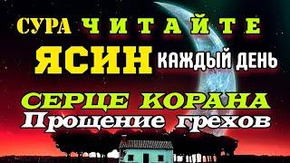 ЯСИН - ЧИТАЙТЕ КАЖДЫЙ ДЕНЬ! УСПОКАИВАЕТ ДУШУ!