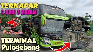 PERPAL ! 3 Hari di Terminal bus terpadu Pulogebang, kira-kira apa penyebabnya?