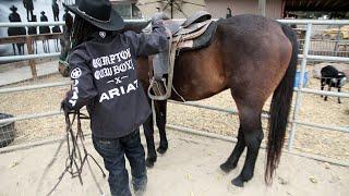 Riding horses helps youngsters stay out of trouble in California