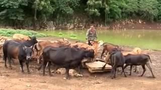 Long lan village, Luang Prabang province, Documentary on Lao television