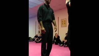 WING CHUN SIFU MARK PHILLIPS LAP SAU