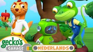 Groen redt de boom| Gecko's Garage Nederlands | Vrachtwagen Cartoons Voor Kinderen