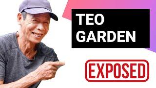 How Much Money Teo Garden Makes On Youtube | Teo Garden gardening ideas for home