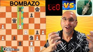 BOMBAZO CON NEGRAS TREMENDO!  LC0 Vs STOCKFISH