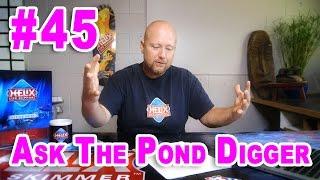 Tilapia Fish Pond Design - Ask #45