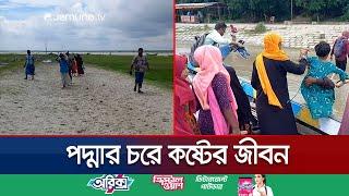 পদ্মার চরে কষ্টের জীবন; নেই শিক্ষা, চিকিৎসা ও যোগাযোগ ব্যবস্থা | Rajbari Char Life | Jamuna TV