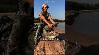 바다악어  살아있는 가장 치명적인 공룡!