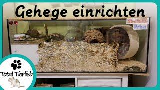 Rennmausgehege einrichten /Total Tierlieb