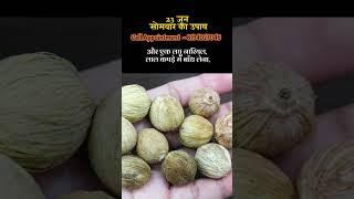 23 जून सोमवार का उपाय | Astro Pandit #astrology #getyourexback