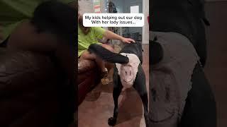 Life with Kids and Dogs!! #dogs #kids #doglife #dogshorts #doglover #cutekids #kidslife