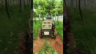 ನೀನು ಬೇಕು ಹಾಡು || Nebeku song || By Smart chandrakala