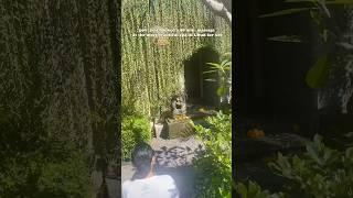 $20 Massage at the Most Beautiful Spa in Ubud, Bali | ANJEEZ #baliindonesia #balitravelguide #bali