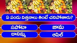 Interesting Questions In Telugu Quiz Test 5 | Telugu Quiz | GK Quiz  @ViralVasu ​