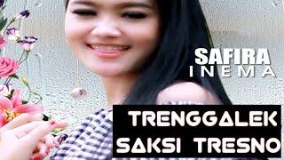 Safira Inema - Trenggalek Saksi Tresno (Official Music Video)