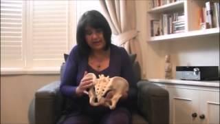 Janet Balaskas Introduces the Pelvis