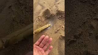 Weird beach slug video  by aaronlucky2001