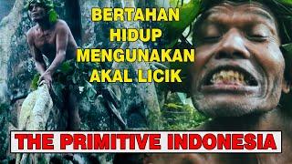 Primitive Bertahan Hidup Di Hutan Mengunakan Akal Licik !!