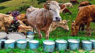 Making and storing cheese from fresh milk in the village