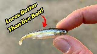 These Minnow Lures Are Better Than Live Bait!