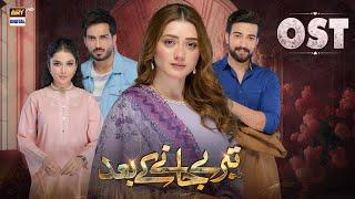 Teray Janay Kay Baad | OST | Shahmeer Shazil | Nish Ashar | ARY Digital