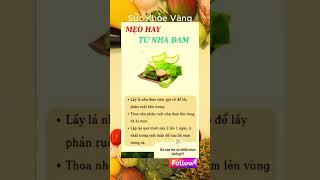 Bí Quyết Giữ Gìn Sức Khỏe Toàn Diện | Sức khỏe vàng #ChămSócSứcKhỏe #BảoVệSứcKhỏe #SốngKhỏeMỗiNgày